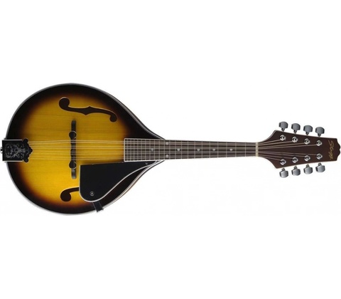 Stagg M40 S