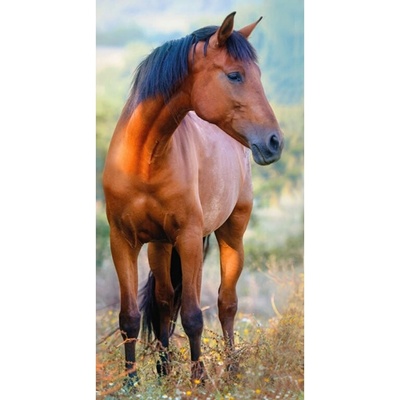 CARBOTEX Detský uterák 30x50cm KôŇ