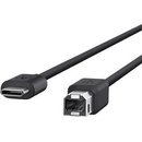 Belkin F2CU035bt06-BLK USB 2.0 USB-C to USB B, 1,8m