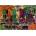 Educa - Puzzle Serenade - 1 500 piese