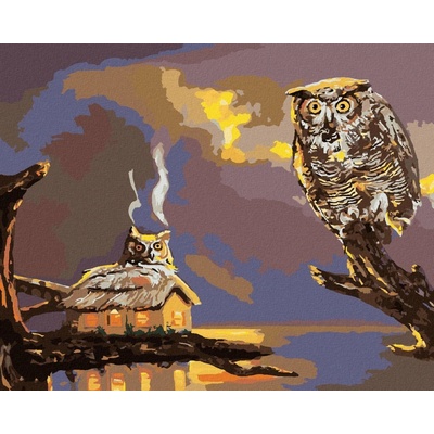 Zuty Malování Podle Čísel Sova A Chata U Vody D. Rusty Rust 80 x 100 cm Plátno Rám