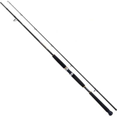 Shimano Beastmaster AX Pilk 2,40m 100-200g 2 díly