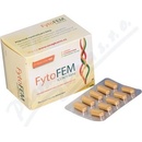 Doplňky stravy na močové a pohlavní orgány FytoFEM Iconti Forte 90 tablet
