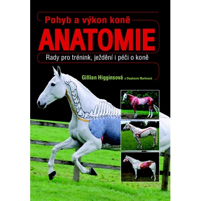 Pohyb a výkon koně - Anatomie