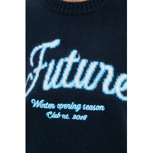 From Future Кашмирен пуловер (WPR02204)