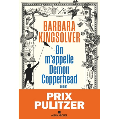 On m'appelle Demon Copperhead | Barbara Kingsolver