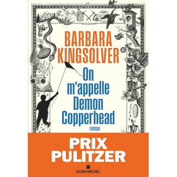 On m'appelle Demon Copperhead | Barbara Kingsolver