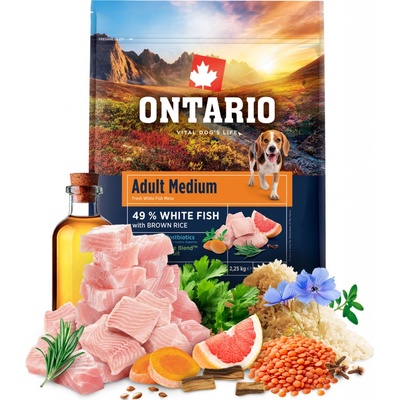 Ontario Adult Medium Fish & Brown Rice 2,25 kg