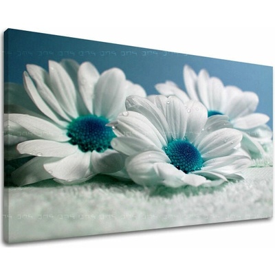 Obraz na stenu KVETY - 20x30