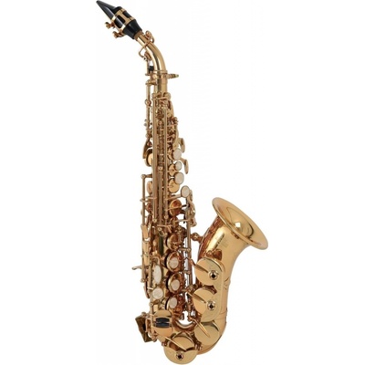 Soprán saxofon Roy Benson SS-302 – Zboží Dáma