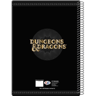 CyP Brands Zápisník Dungeons and Dragons Roll for Initiative, A4 – Zboží Živě
