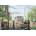 Art Puzzle - Puzzle Summer Rain - 2 000 piese