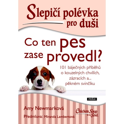 Slepičí polévka pro duši: Co ten pes zase provedl? - Amy Newmark