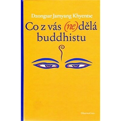 Co z vás nedělá buddhistu - Dzongsar Khyentse