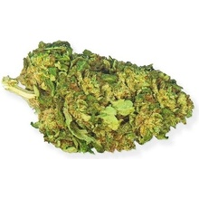 Zlaté CBD Odroda konope Super Skunk 25% CBD 0,2% THC 1 g