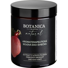 BOTANICA SLAVICA 9 DIVŮ PLODŮ 210 ml