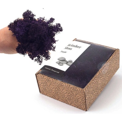 KreaBox - Fialový lišajník