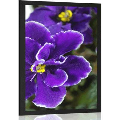 Plakát fialka - 20x30 silver