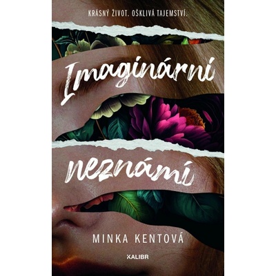 Imaginární neznámí