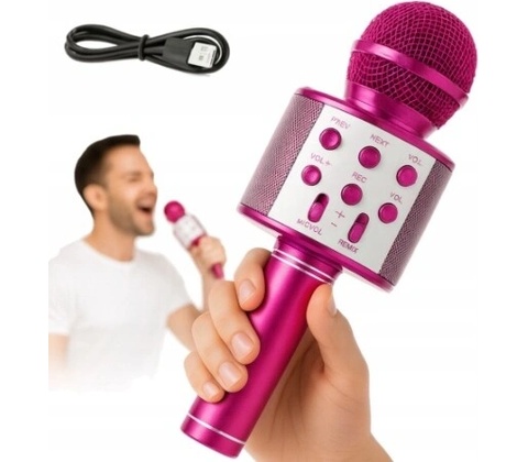 LTC MIC100Z