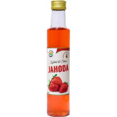 Salvia Paradise Jahoda ovocný koncentrát 250 ml