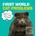 First World Cat Problems