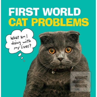 First World Cat Problems