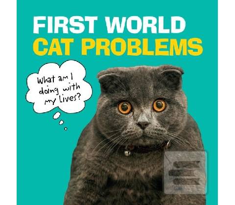 First World Cat Problems