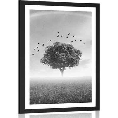Plakát s paspartou osamělý strom na louce v černobílém provedení - 40x60 no frame