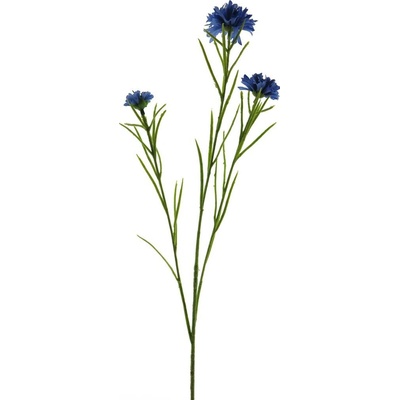 Chrpa - Centaurea (spray) modrá 68 cm
