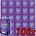 Skins Extra Large 100 pack