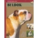 Buldok