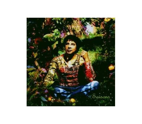 VOULZY LAURENT: SAISONS CD