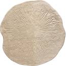 Mood Selection Pam Beige
