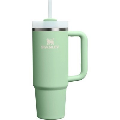 Stanley The Quencher Cup H2.O FlowState Tumbler 890 ml 30oz Pistachio