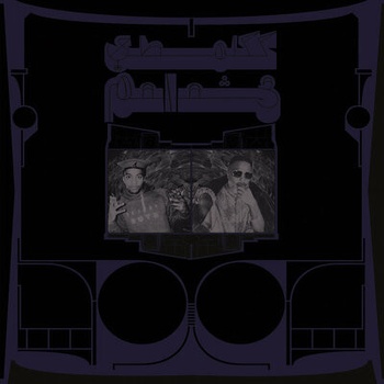 SHABAZZ PALACES - EXOTIC BIRDS OF PREY CD