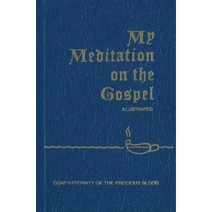 My Meditation on the Gospel (ISBN: 9781618908308)