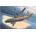 Roden An-12BK-PPS 1:72