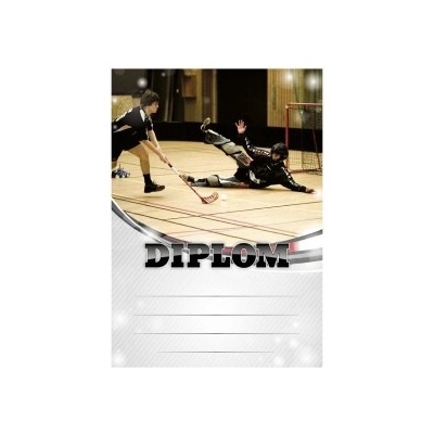 Diplom 6615