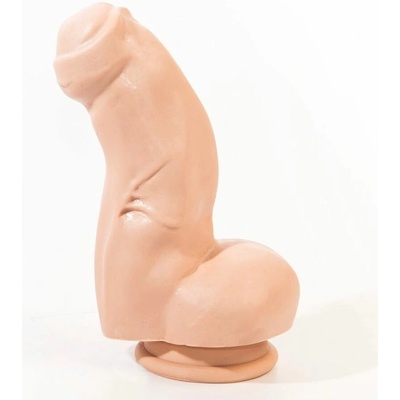 PINK ROOM Nestor 16,5 cm anatomický model s pevnou prísavkou