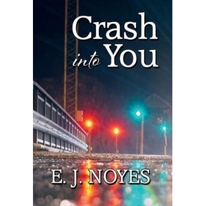 Crash Into You (ISBN: 9781642477153)