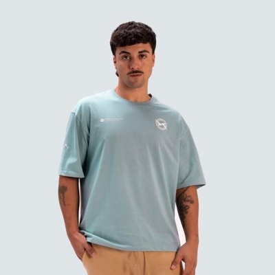 Picsil pánské tričko Lifestyle AW25 světle modrá