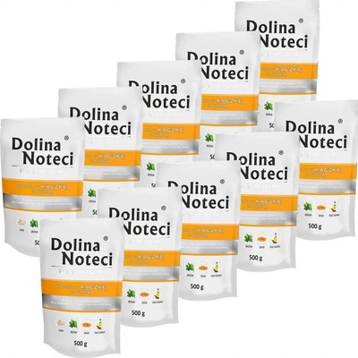 Dolina Noteci Premium Rich In Duck with Pumpkin 10 x 500 g