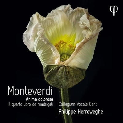 Collegium Vocale Gent, MONTEVERDI: IL QUARTO LIBRO DE MADRIGALI, CD