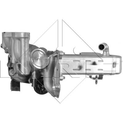 NRF AGR - Ventil 48204