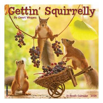 Willow Creek Press Calendars Gettin' Squirrelly 2026 12 X 12 Wall Calendar
