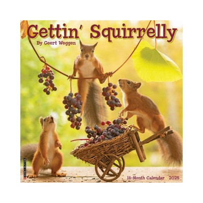 Willow Creek Press Calendars Gettin' Squirrelly 2026 12 X 12 Wall Calendar
