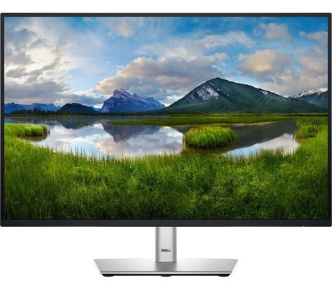 Dell P2425E