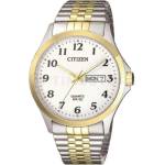 Citizen BF5004-93A Часовници