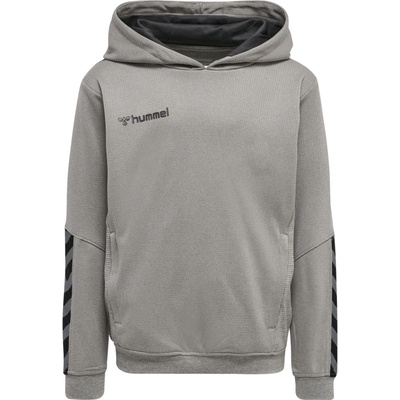 Hummel AUTHENTIC KIDS POLY HOODIE 204931-2006